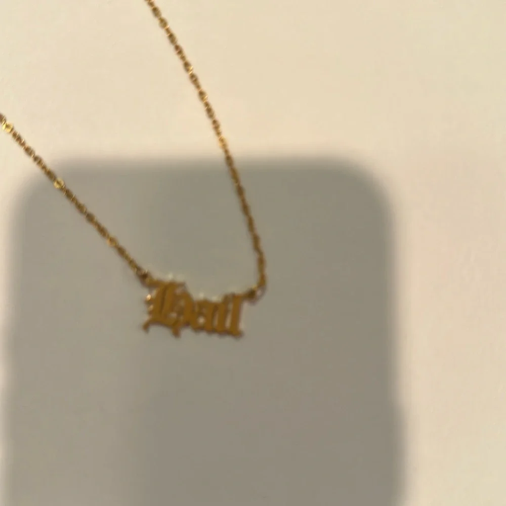 Hail' Pendant Necklace university of Michigan